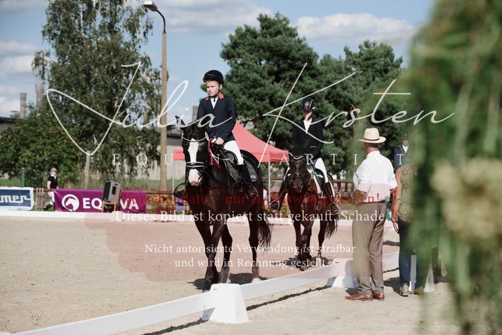 DSC_0243 | Pferde- und Turnierfotografie in Westsachsen. Pferdeportraits, Auftragszeichnungen und intuitive Kunst.