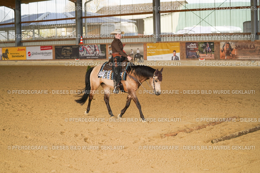 DSC01828 | Pferdegrafie