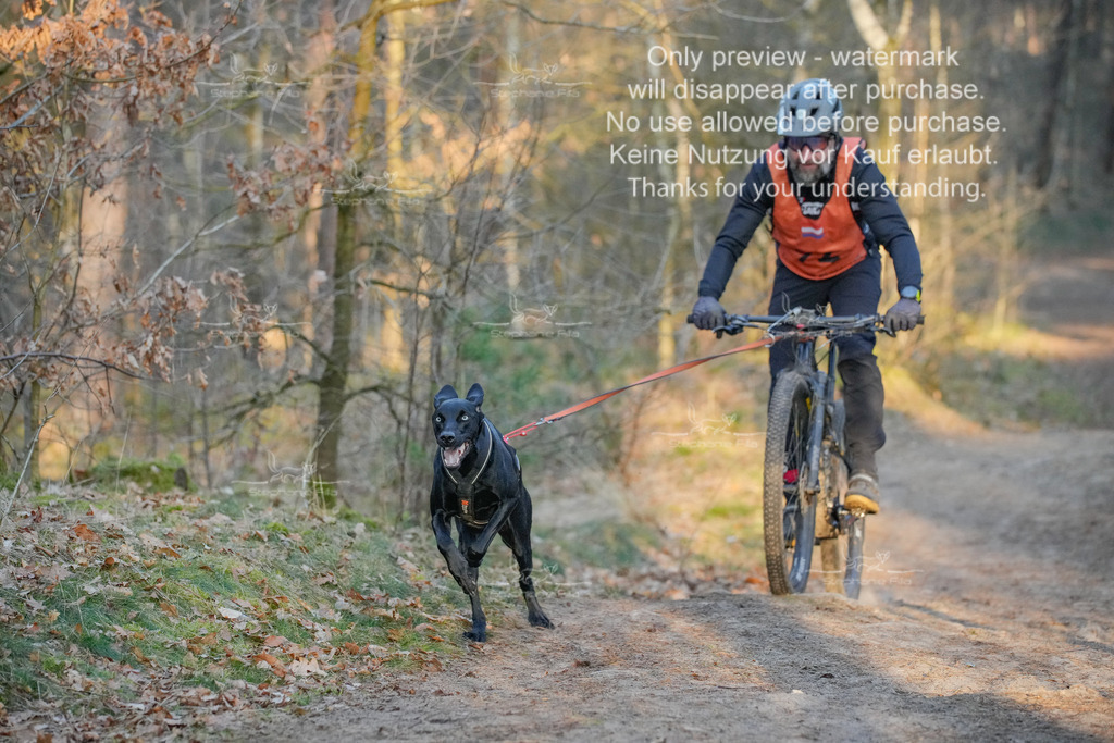 Sa_Bike-137 | stephaniefillaphotographie - Realisiert mit Pictrs.com