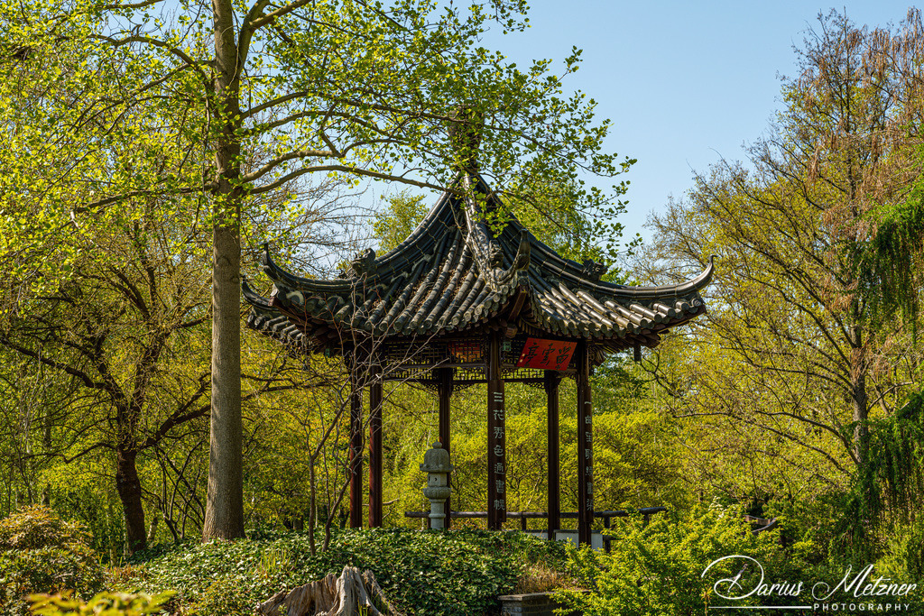 Mannheim | Bilder aus Mannheim