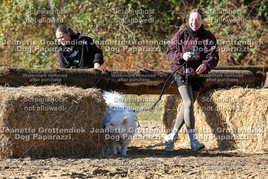 Dog Paparazzi - Strongdog 10-25-2046 | Dog Paparazzi Jeanette Grottendiek Fotografie & Videografie - Realisiert mit Pictrs.com