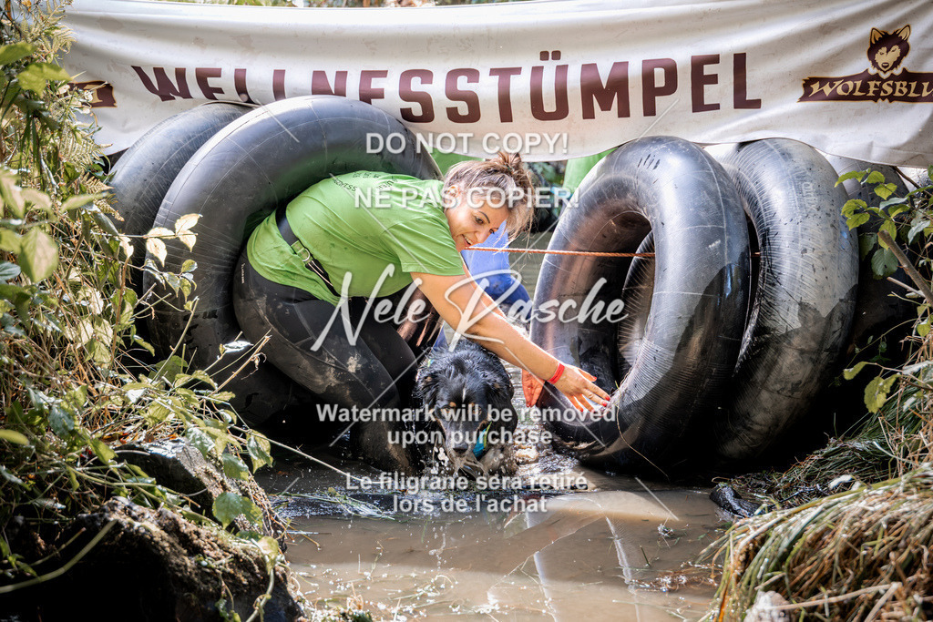 nelerasche_Hunsrück2026_Sa1400-1500_58 | nelerasche