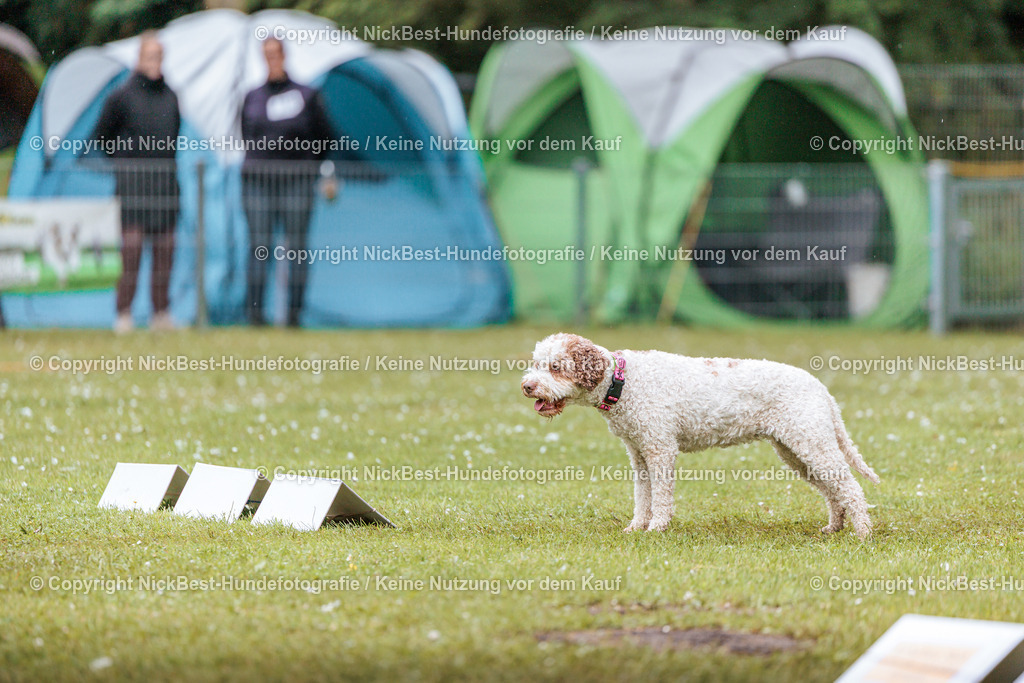 RO-Blumenthal-2026-Nickbest-Hundefotografie-3666 | Dein Hund! Dein Moment! Deine Erinnerungen! Hundefotografie in Bremen Blumenthal. Ich fange die besonderen Momente deines Vierbeiners ein – ob Indoor mit Blitzanlage oder in der freien Natur. Sicher dir dein Moment und dein Termin für eure Erinnerungen.