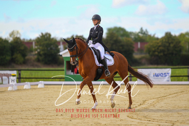 DKP44374 | Turniersportfotografie; Pferdefotografie; Dressurfotografie