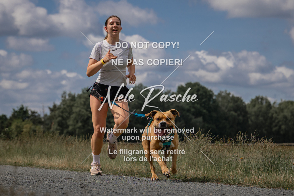 nelerasche_BuHu2026_SaCC1100-1200_13 | nelerasche