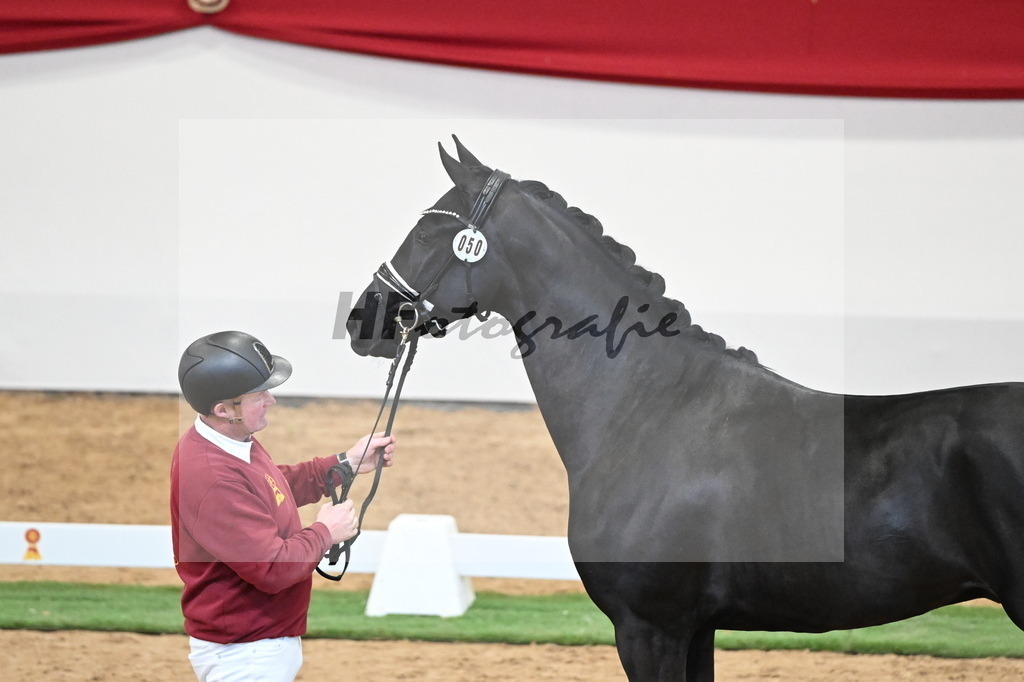 Kat.-Nr. 50 v. Donier_Meyer_2250178 | hf-fotografie - Realisiert mit Pictrs.com