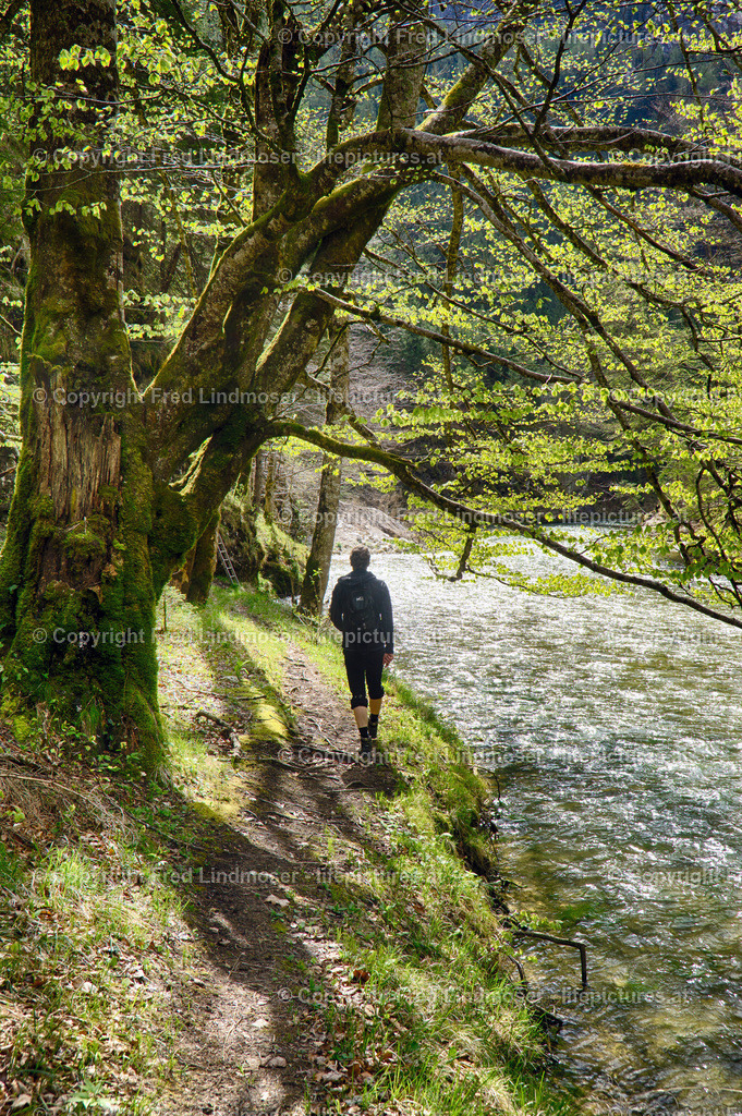 Klausgraben_Salza_DSC05362 | Fotos und Fotoprodukte - Realisiert mit Pictrs.com