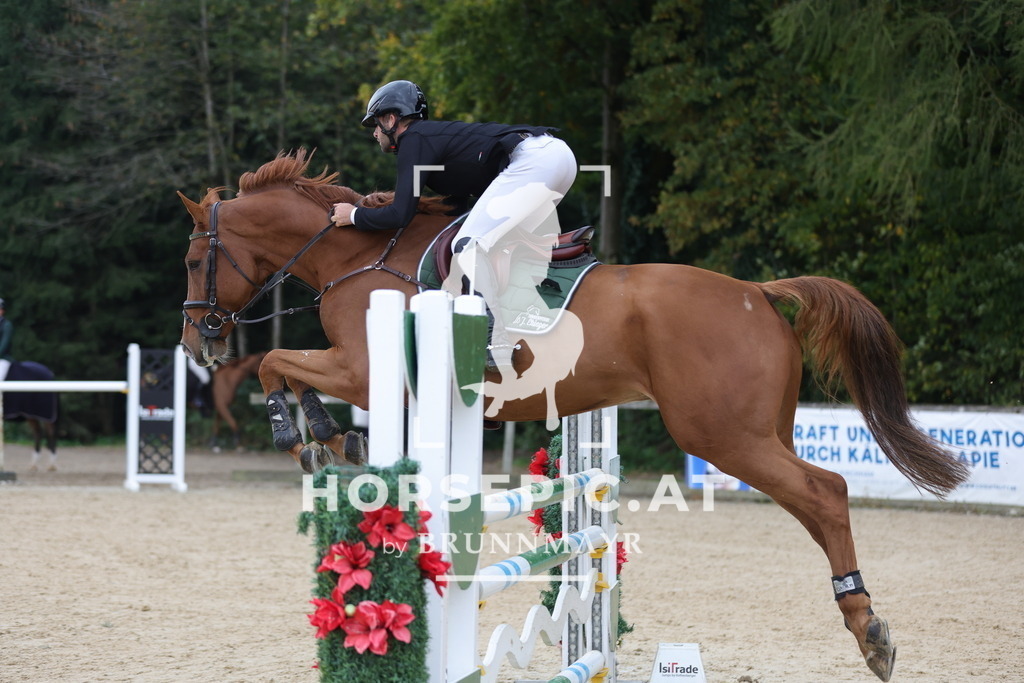 0P6A3152 | Willkommen bei Brunnmayr - Design & Fotografie – Ihrem Spezialisten für Reitturniere und Pferdeveranstaltungen in Oberösterreich, Salzburg und Bayern! Seit über 17 Jahren sind wir leidenschaftlich dabei.