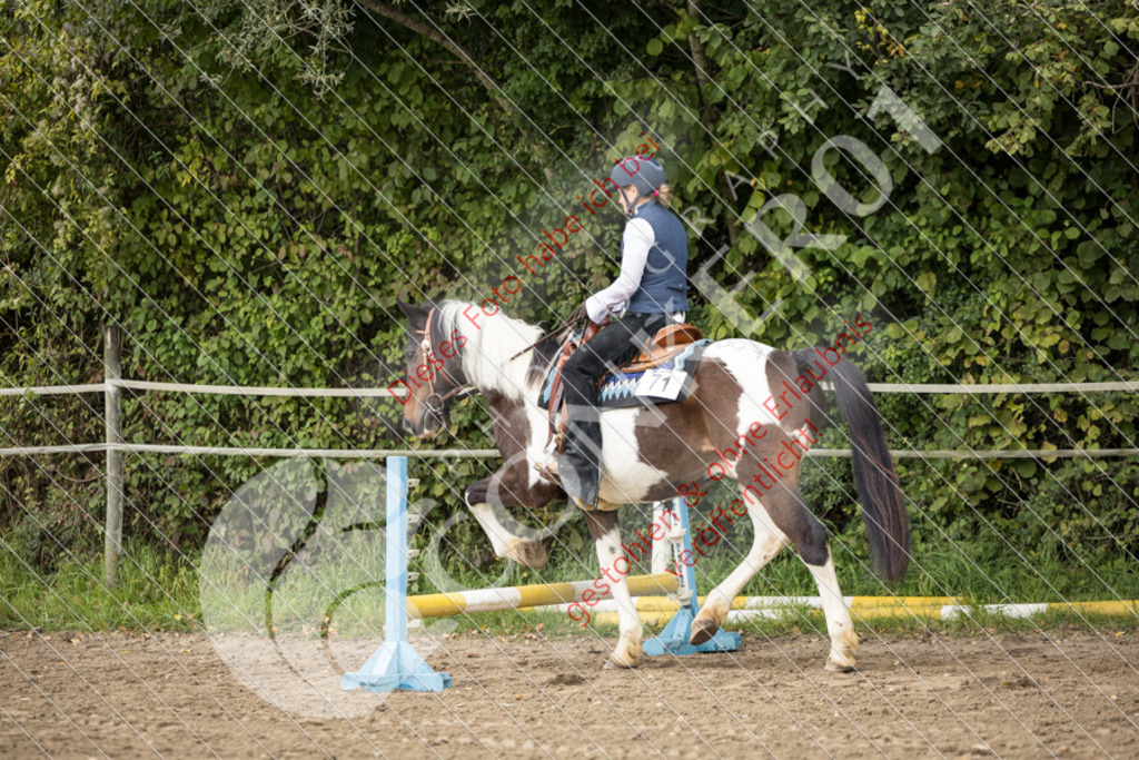 CON_0691 | Sport-, Event- und Tierfotos in Profiqualität. Einfach auswählen, bestellen und herunterladen. Dein Moment – perfekt festgehalten.