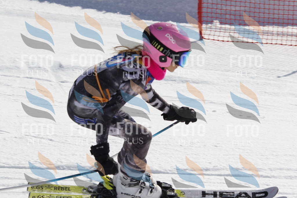 _U3G9377 | holidayphoto