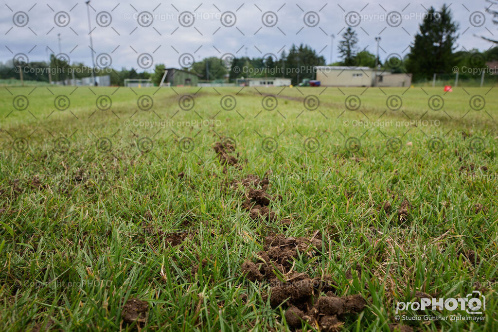 202507_Rernböck-Rasen_NZ9_1062 | proPHOTO - Realisiert mit Pictrs.com