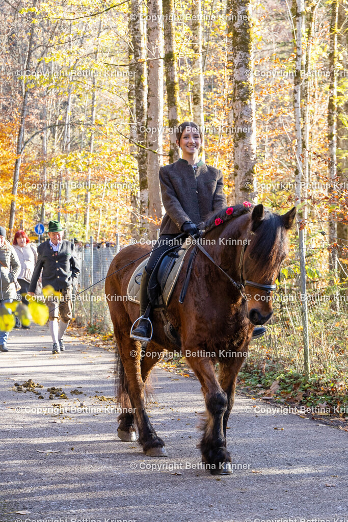 LL24-369 | foto-bettina-krinner - Realisiert mit Pictrs.com