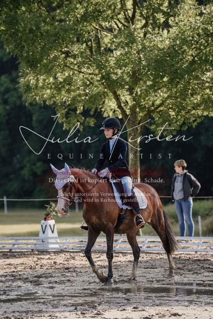 DSC_7775 | Pferde- und Turnierfotografie in Westsachsen. Pferdeportraits, Auftragszeichnungen und intuitive Kunst.