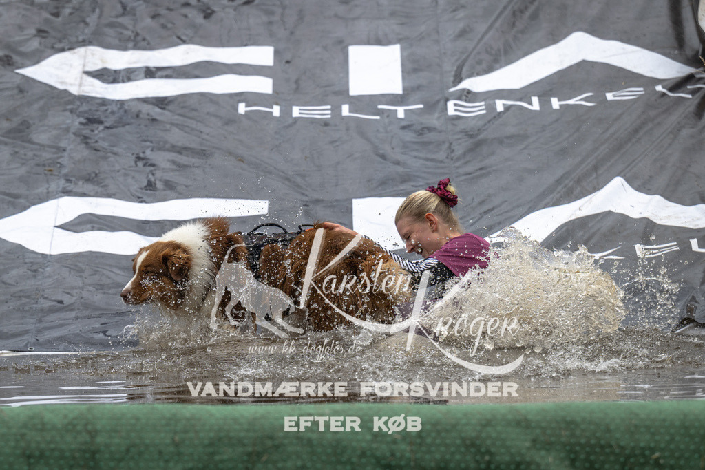 1336_ZZ92502 | kk-dogfotos