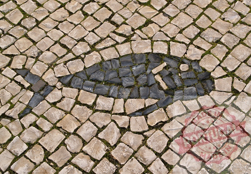 Fish mosaic decorating portuguese calçada pavement in Lisbon | Typical portuguese calçada pavement decorated with black fish mosaic in Lisbon, Portugal - Realisiert mit Pictrs.com