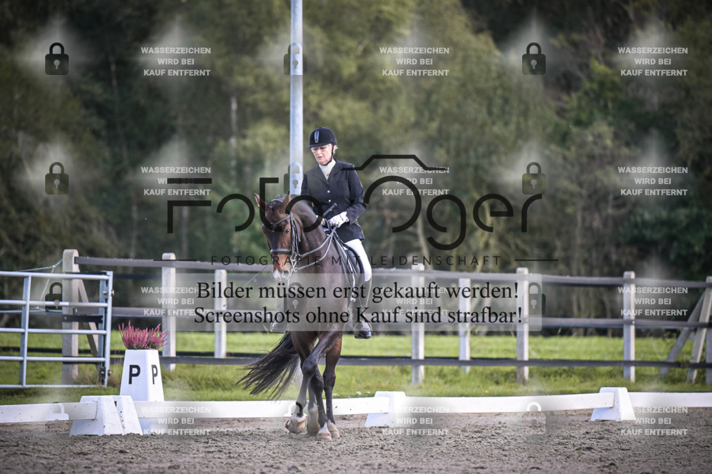 DOS_3986 | Entdecke hochwertige Reitturnierfotos von Foto Oger. Professionell, emotional und authentisch – jetzt Lieblingsmomente im Shop bestellen.Deutschlandweite Turnierfotografie. - Realisiert mit Pictrs.com