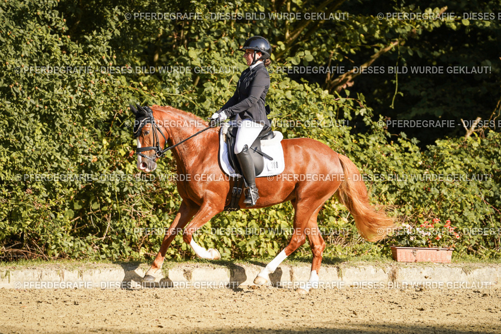 DSC06261 | Pferdegrafie