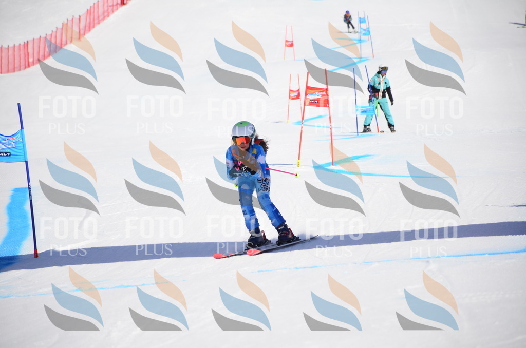 VR4_9806 | holidayphoto