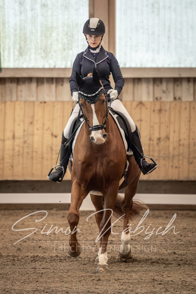 20251011-_3LI5651 | Tierfotografie Pferde, Hunde, Katzen, Haustiere.
Turnierfotografie Reitturniere, Reiten, Springreiten, Dressur in Hanau, dem Main-Kinzig-Kreis und dem Rhein-Main- Gebiet um Frankfurt
