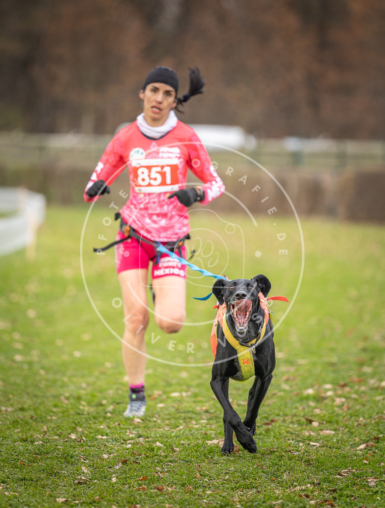 CaniXpix_DV3A6445 | Hundefotografie, Tierfotograf, Pfotenfotografie, Fotoshooting Hund, Hunde Portrait, Hundesport, Hundeportraits, Heideshooting, Hunde, Sportfotograf, Hundefotograf, Turnierhundsport, THS,  - Realisiert mit Pictrs.com