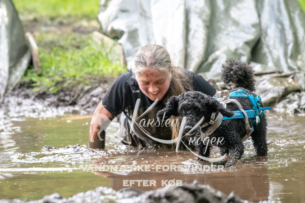 1222_ZZ92041 | kk-dogfotos