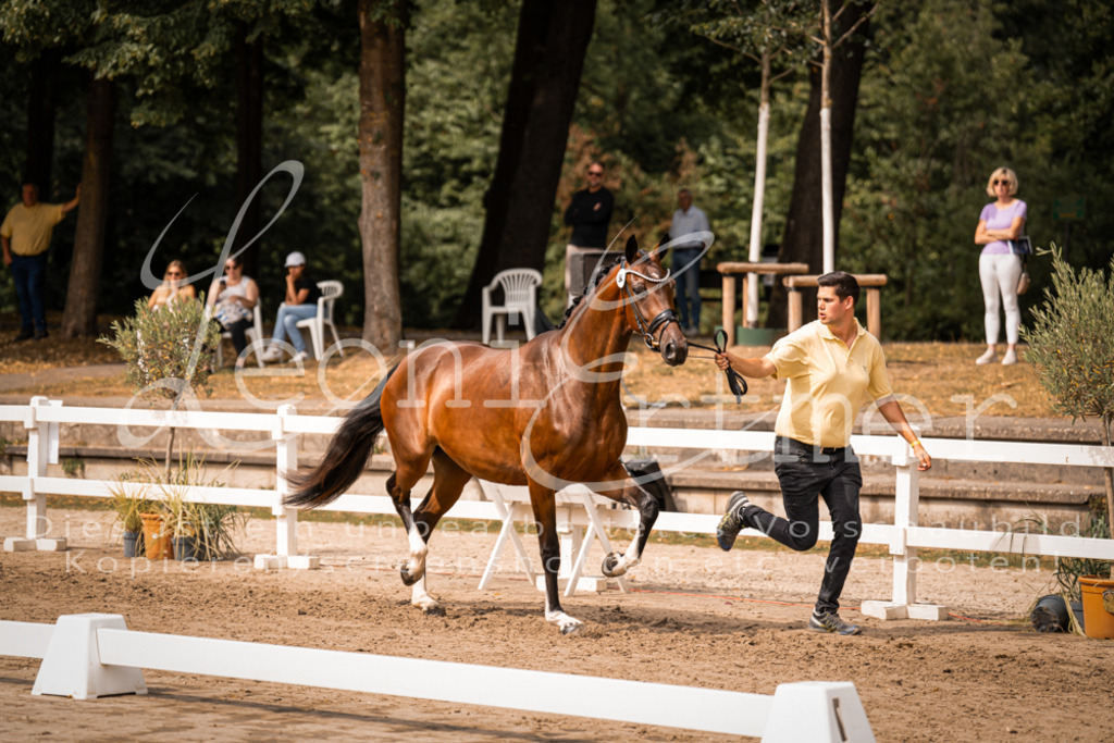 6.Fr00128 | Leoni Ertmer Photography - Realisiert mit Pictrs.com