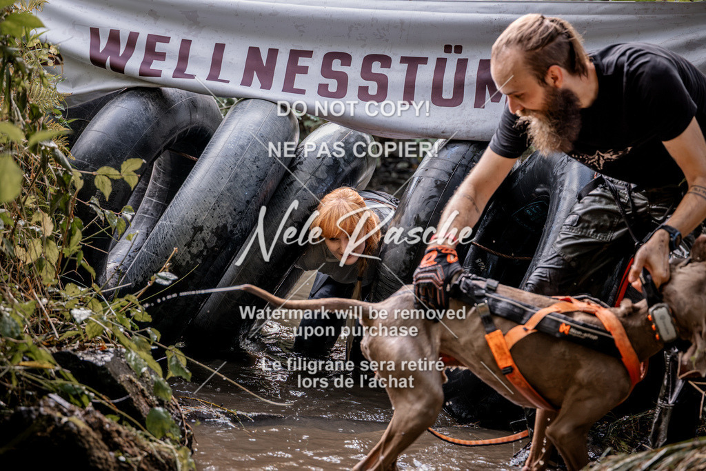 nelerasche_Hunsrück2026_Sa1400-1500_290 | nelerasche