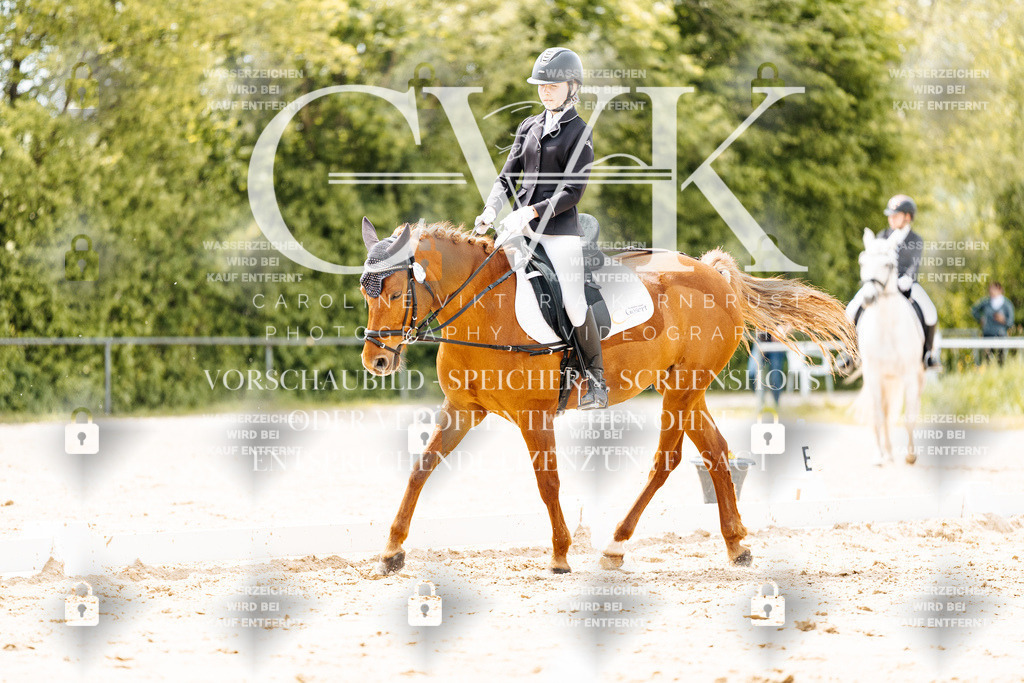 CK902318 | Turnierfotografie Pferdefotografie Trier Rheinland-Pfalz Pferdesport Reitsport Tierfotografie Sportfotografie Pferdevideo Pferdevideografie Equestrianvideography equestrianphotography  - Realisiert mit Pictrs.com