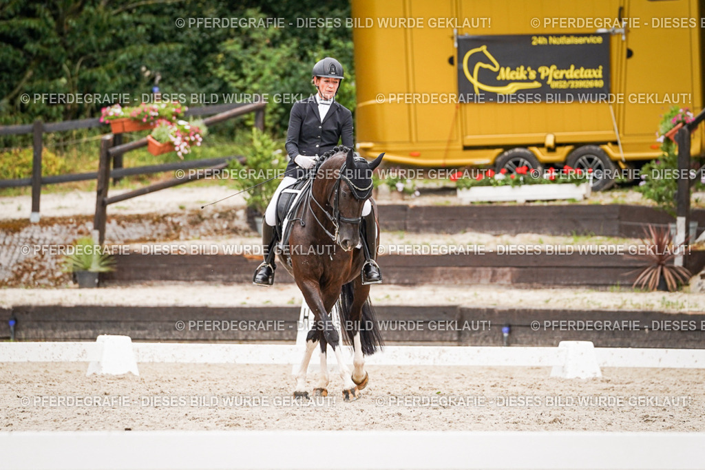 DSC07589 | Pferdegrafie