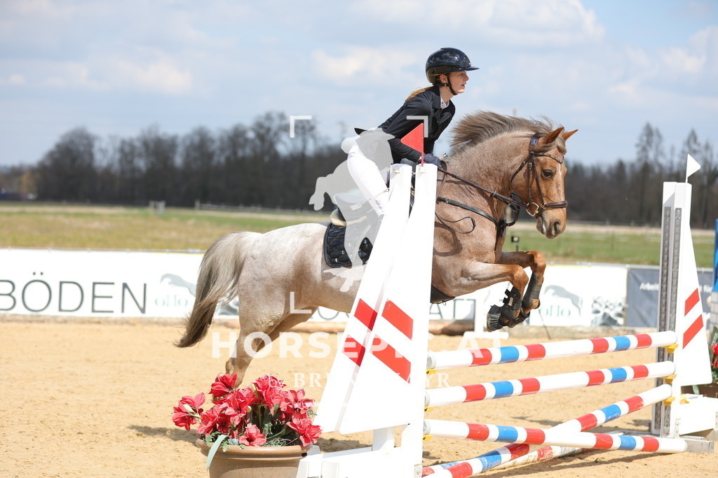 0P6A7749 | Willkommen bei Brunnmayr - Design & Fotografie – Ihrem Spezialisten für Reitturniere und Pferdeveranstaltungen in Oberösterreich, Salzburg und Bayern! Seit über 17 Jahren sind wir leidenschaftlich dabei.