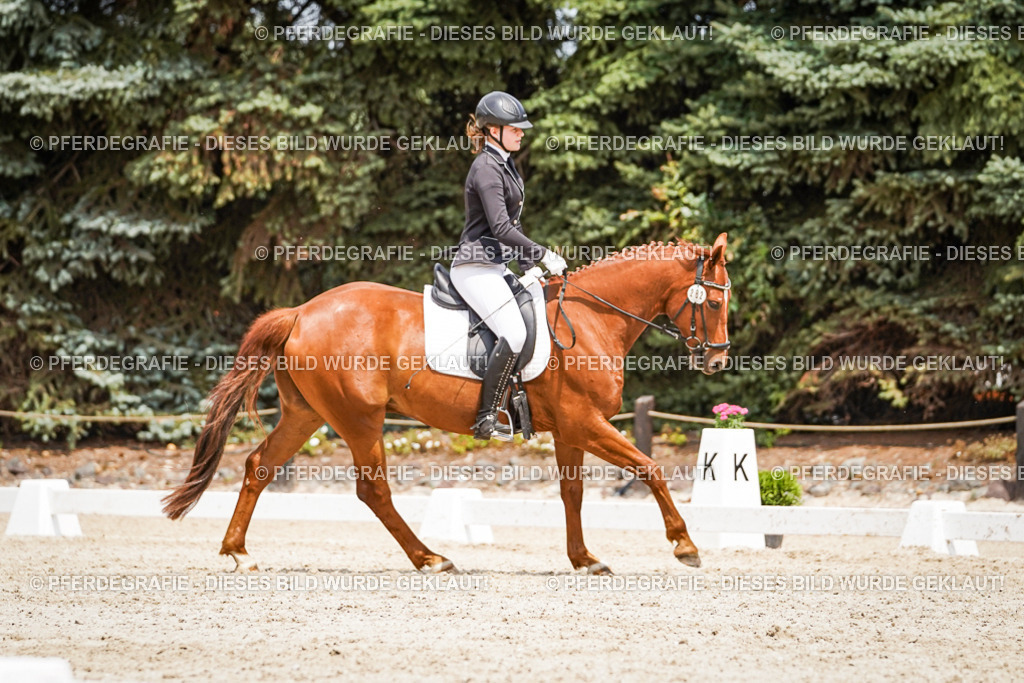 DSC03652 | Pferdegrafie