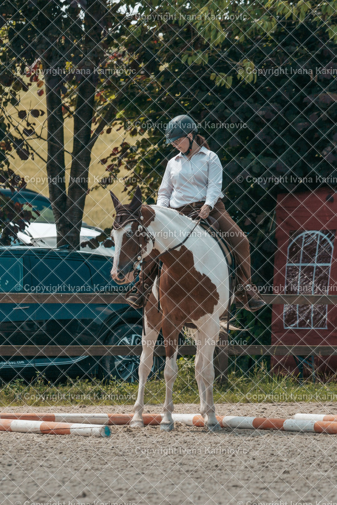 DSC00400 | ikphotography - Realisiert mit Pictrs.com