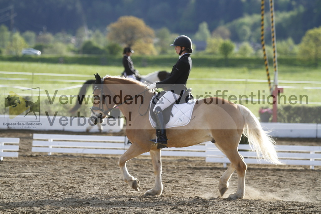 _MG_4299 | equestrian-live-com