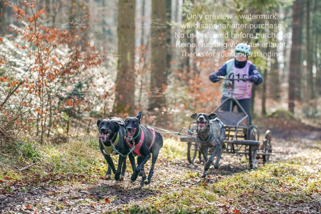 So2_Gespanne-13 | stephaniefillaphotographie - Realisiert mit Pictrs.com