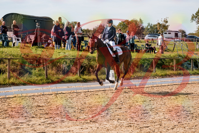 2026_10_03_Siefer-Hof_125624_Z63_63698569 | Professionelle Reitsport-, Turnier- und Eventfotografie von Robert Broda. Galerien mit ausgewählten und bearbeiteten Bildern direkt online ansehen und bestellen.