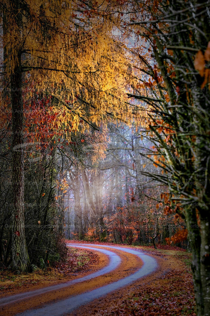 Wandbild "My Way" | People- und Tierfotografie, Imageaufnahmen, Veranstaltungsfotografie und Wandbilder aus der Natur ★ Made in Germany ✔️ Druck + Downloads ✔️ Naturfotografie in Top Qualität ★ schneller Versand, weltweite Lieferung! - Realisiert mit Pictrs.com