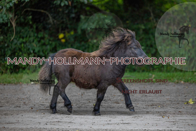 _MG_0359 | mandyhollmannphotographie