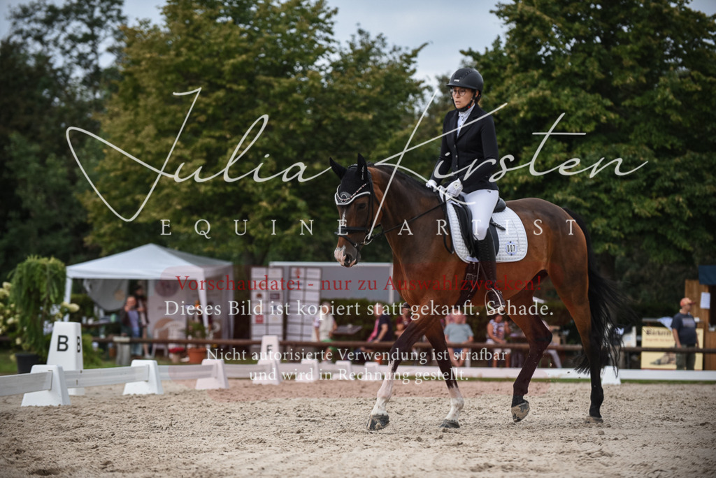 DSC_8534 | Pferde- und Turnierfotografie in Westsachsen. Pferdeportraits, Auftragszeichnungen und intuitive Kunst.