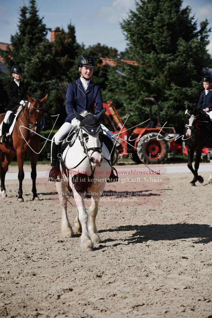 DSC_0212 | Pferde- und Turnierfotografie in Westsachsen. Pferdeportraits, Auftragszeichnungen und intuitive Kunst.