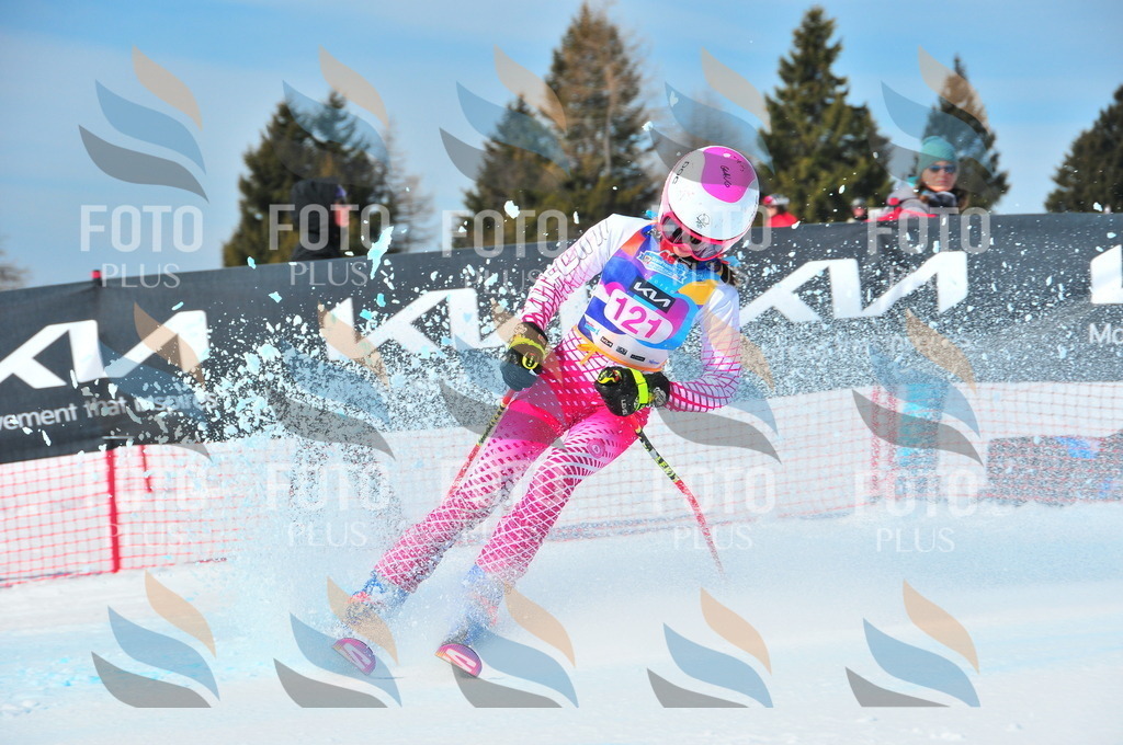 DSC_4780 | holidayphoto