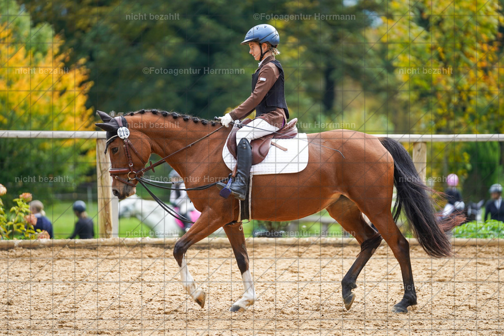 20221008-FAH01329 | Diessen am Ammersee, 2022, Dressur- und Springturnier, Reitsportbilder, Turnierfotografen Bayern, Pferdefotografen, Fotoagentur Herrmann, Turnierbilder