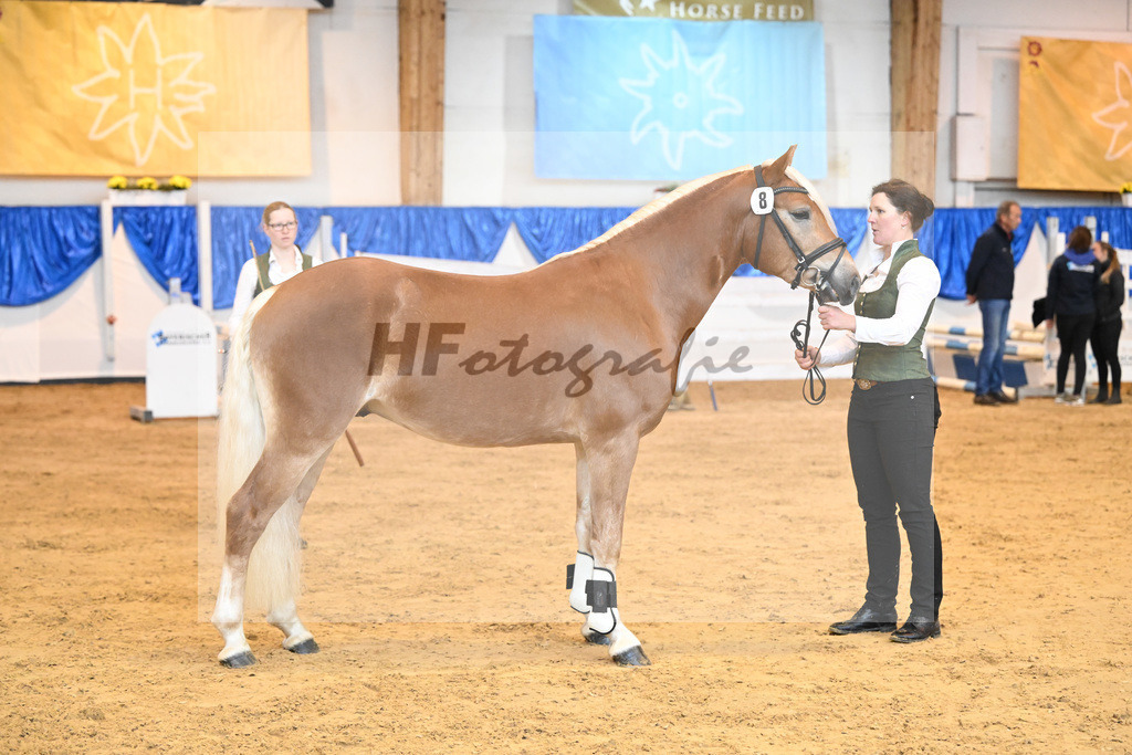 Kat-Nr. 8 Bendix v. Bugatti_Meier_60220079 | hf-fotografie - Realisiert mit Pictrs.com