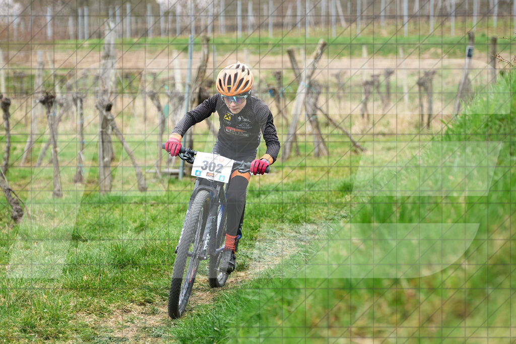 34. KTM Kamptal Trophy  | ZÖBING, Österreich – 2026-03-28: 34. KTM Kamptal TrophyFoto: © 2026 Martin Bihounek - MB Creative e.U.