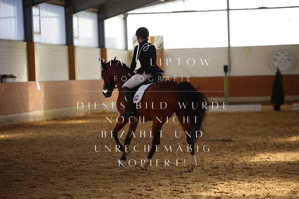 IMGT7707 | pl-fotografie