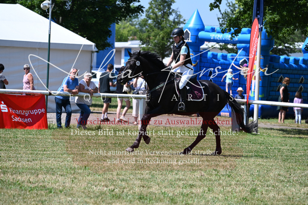 DSC_0715 | Pferde- und Turnierfotografie in Westsachsen. Pferdeportraits, Auftragszeichnungen und intuitive Kunst.
