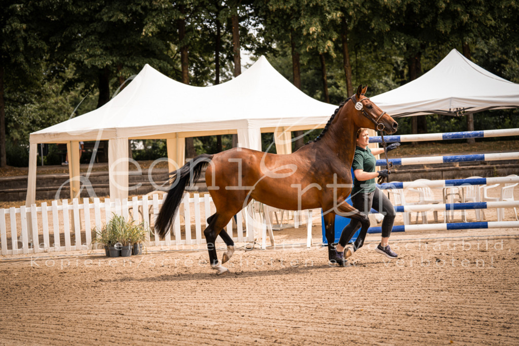 4.Fr00097 | Leoni Ertmer Photography - Realisiert mit Pictrs.com