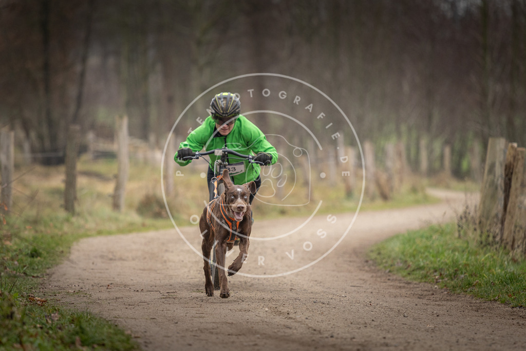 Pfotenfotografie_DV3A2345 | Hundefotografie, Tierfotograf, Pfotenfotografie, Fotoshooting Hund, Hunde Portrait, Hundesport, Hundeportraits, Heideshooting, Hunde, Sportfotograf, Hundefotograf, Turnierhundsport, THS,  - Realisiert mit Pictrs.com