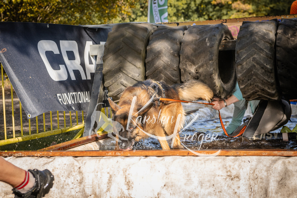 1151_ZZ93649 | kk-dogfotos