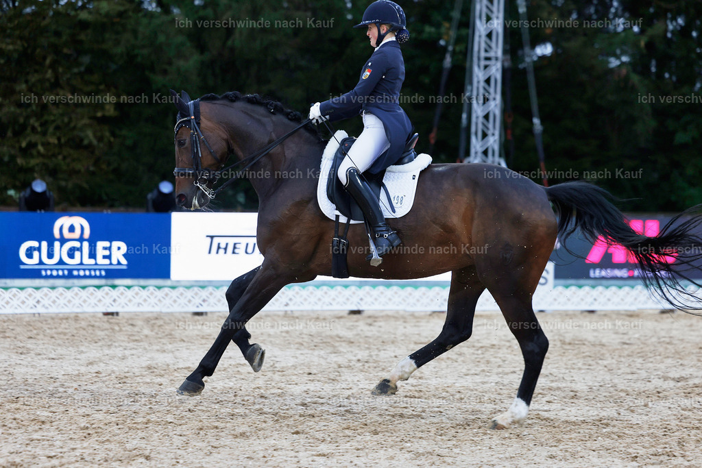 8_2-198-DRESSUR S_  -StoibPH-4549 | working equitationturnier fotograf videograf stoibphotography marixx film working equitation deutschland reitsport turnierfotografie eventfotografie equestrian events
