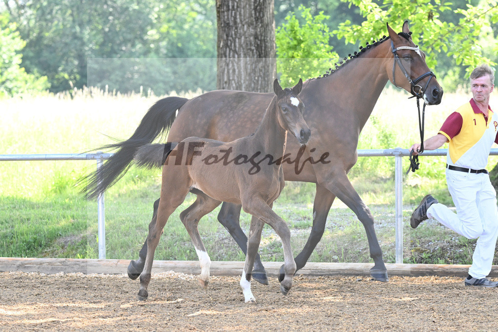 Kat-Nr. 2 SF Skyline to B_Schindele_14230047 | hf-fotografie - Realisiert mit Pictrs.com